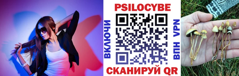 МЕГА маркетплейс  Яхрома  Псилоцибиновые грибы GOLDEN TEACHER 